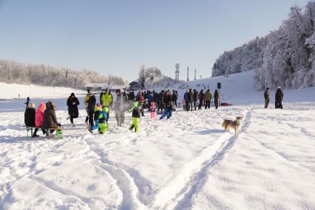 Velika nagrada Mirne 2024, foto Pep (12)